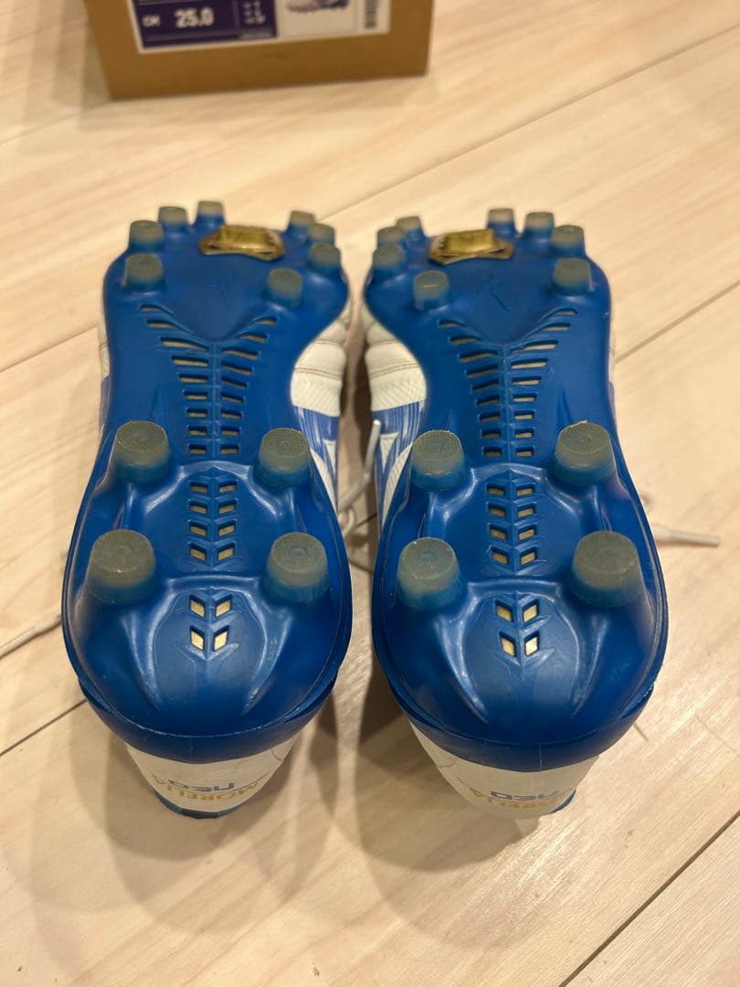 モレリアネオ4ベータ　エリート25.0cm