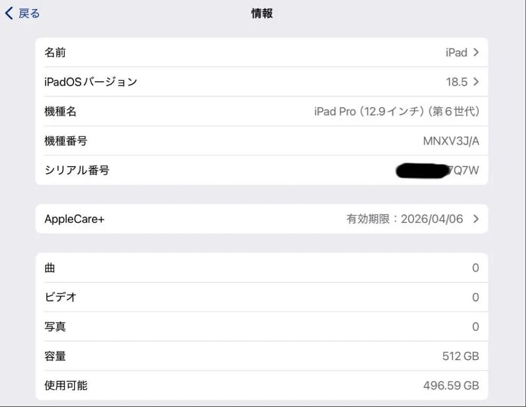 iPad Pro 12.9インチ 512GB 第6世代 Wi-Fiモデル