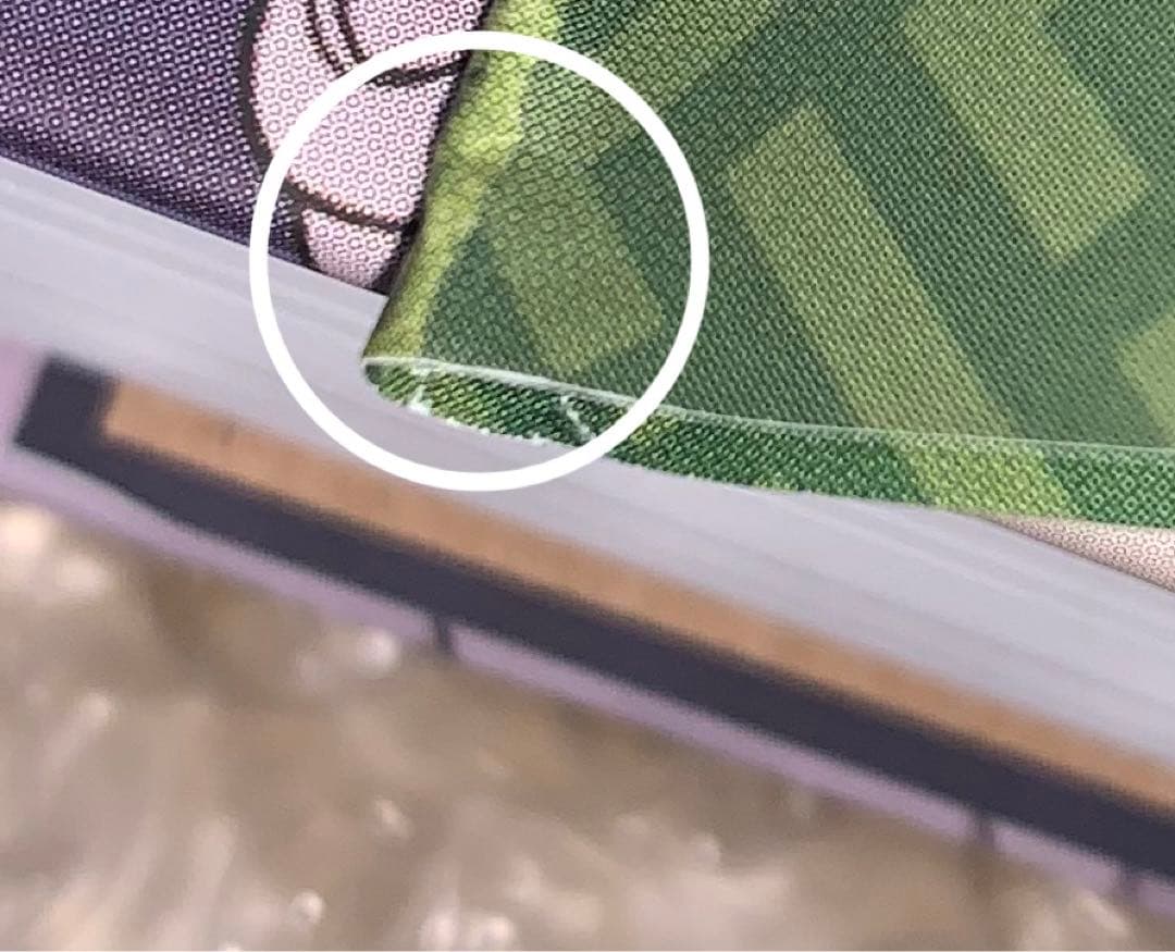 人渣反派自救系統　さはん　露版　1巻　2巻　洛冰河　沈清秋　svsss