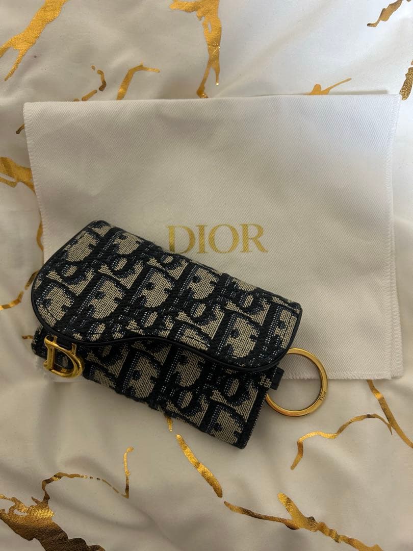 Dior Saddle Aster キーケース
