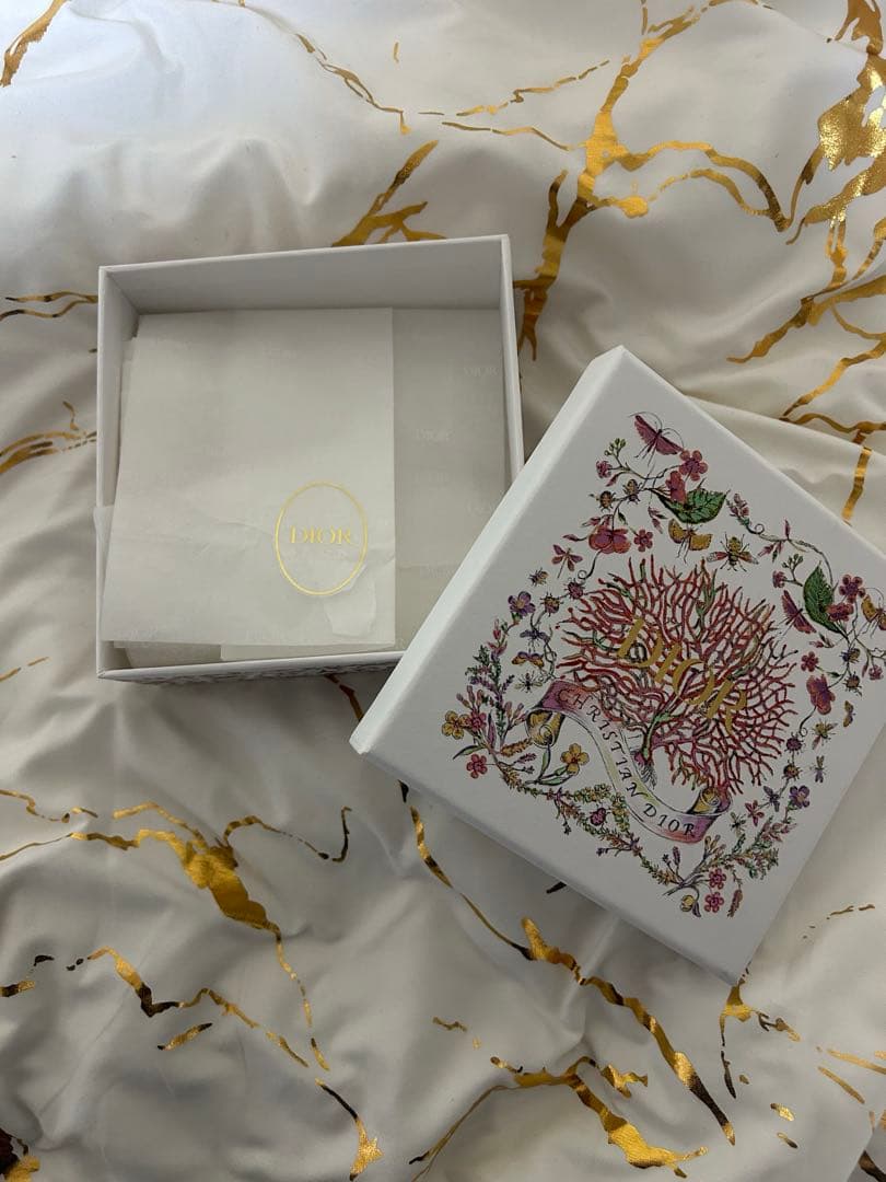 Dior Saddle Aster キーケース