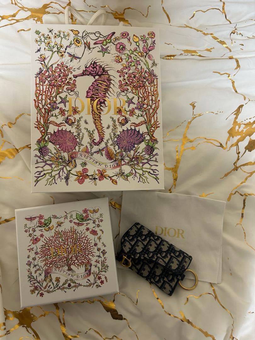 Dior Saddle Aster キーケース