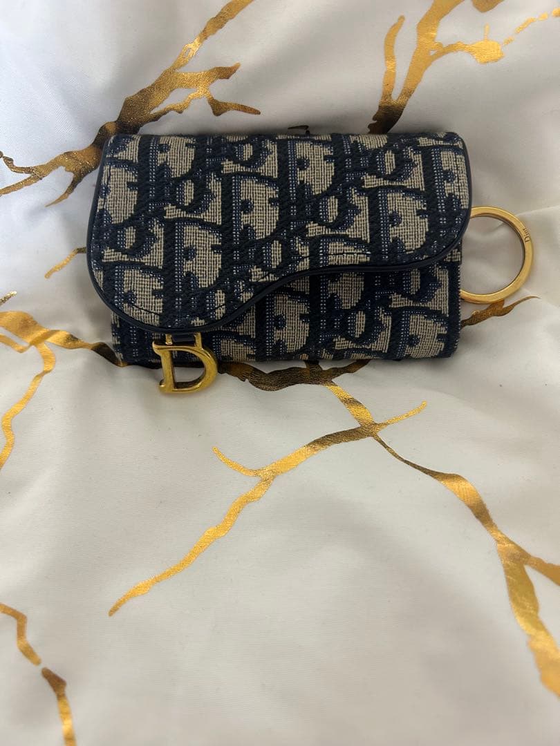 Dior Saddle Aster キーケース