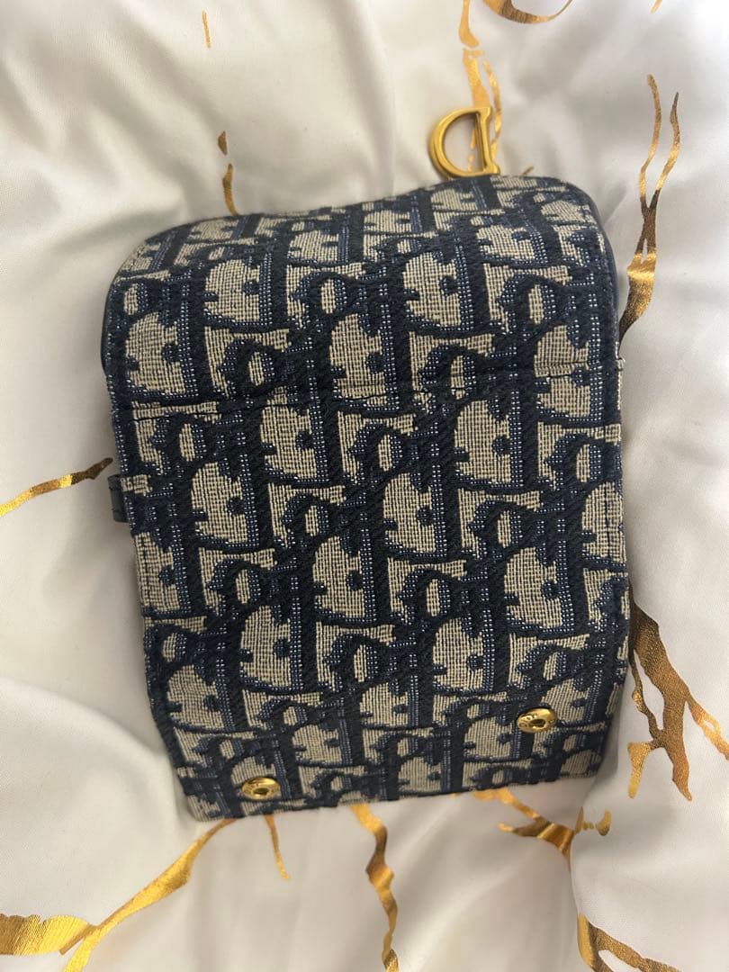 Dior Saddle Aster キーケース