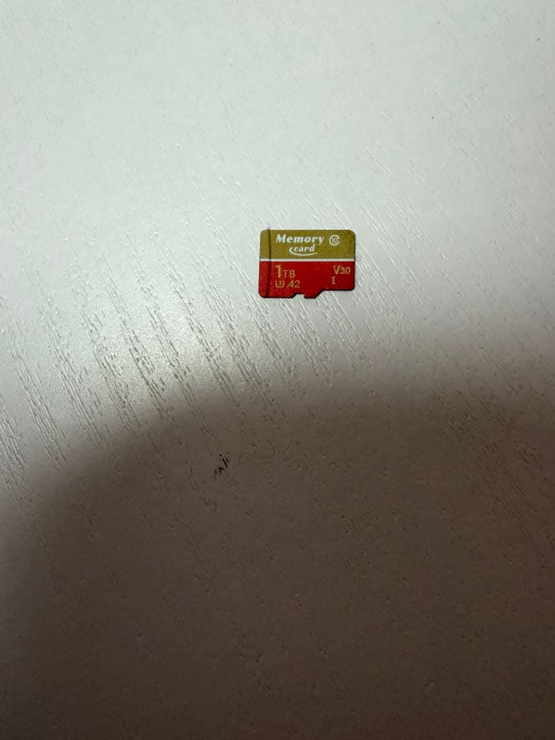 Nintendo Switch Lite 青　オマケ1TSDカード1枚付き