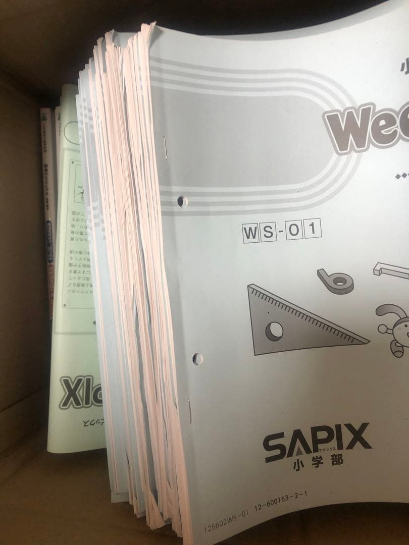 SAPIX 2025年度　6年生　1年間分