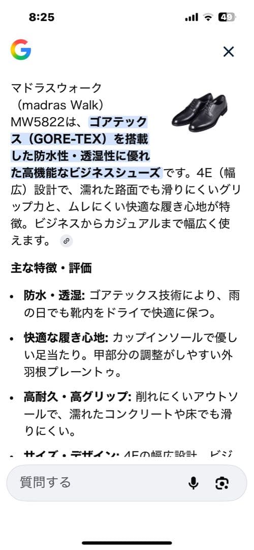 madras Walk ビジネスシューズ