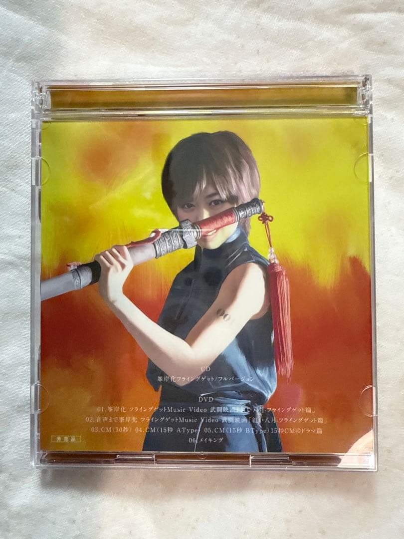 非売品　AKB48 飛翔入手 プライングゲット　カスペルスキー　峯岸みなみ