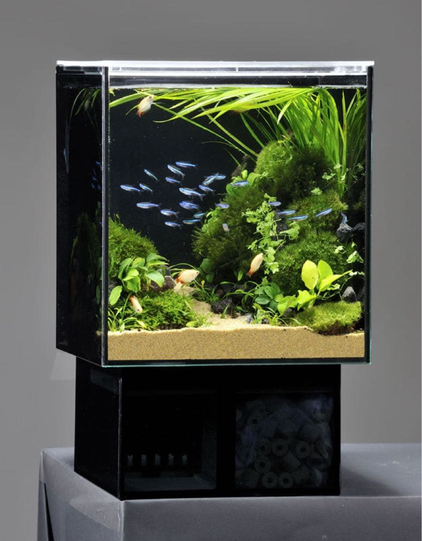 GEX グラステリアAGS アグス オーバーフローシステム 水槽