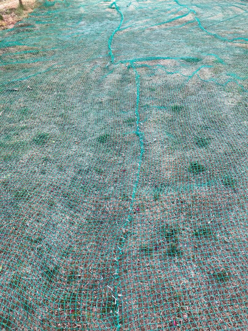 防球ネット 緑色 ナイロン製　ジャンク