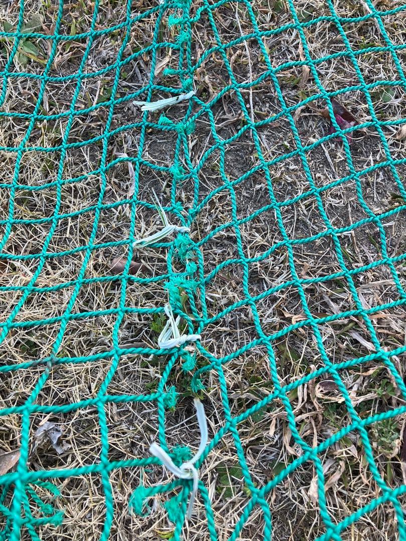 防球ネット 緑色 ナイロン製　ジャンク
