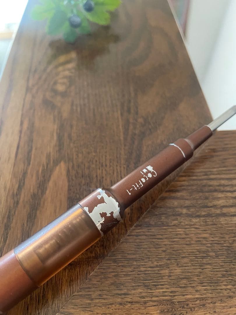 石井美保さんご愛用♡COREFIT コアフィット　フェイスポインター