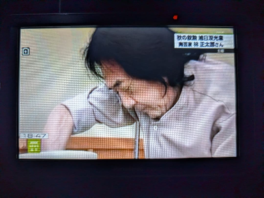 Panasonic CN-G1200VD オンダッシュモニター