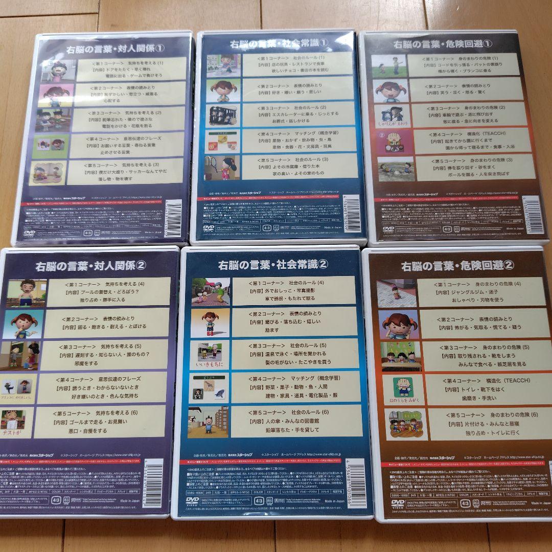 星みつる式　新　家庭療育　DVD スターシップ　発達トレーニング　右脳の言葉