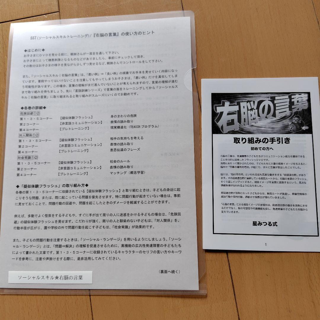 星みつる式　新　家庭療育　DVD スターシップ　発達トレーニング　右脳の言葉