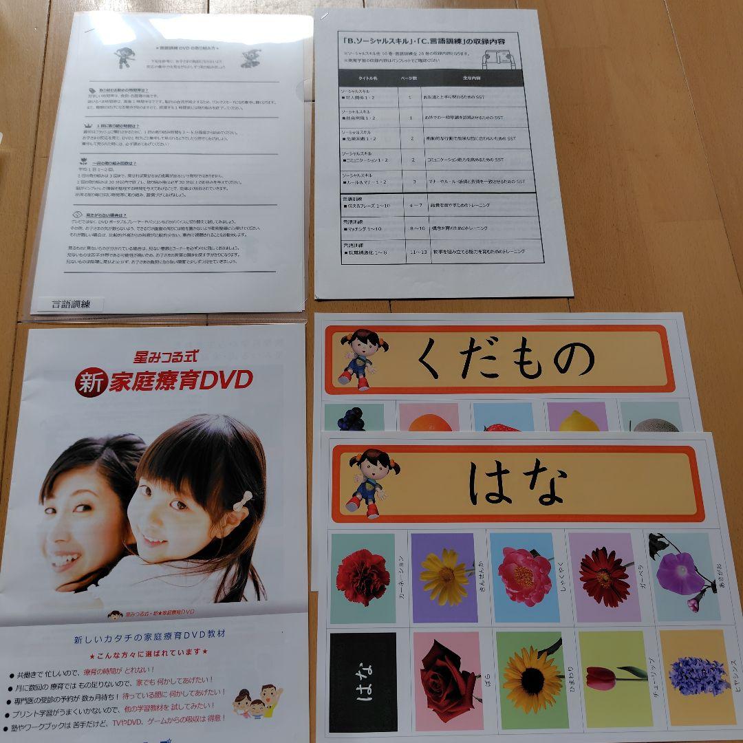 星みつる式　新　家庭療育　DVD スターシップ　発達トレーニング　右脳の言葉