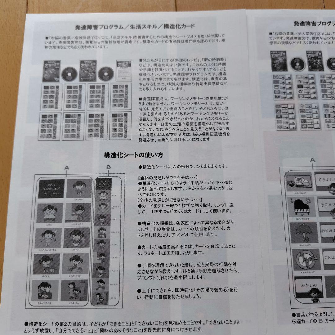 星みつる式　新　家庭療育　DVD スターシップ　発達トレーニング　右脳の言葉