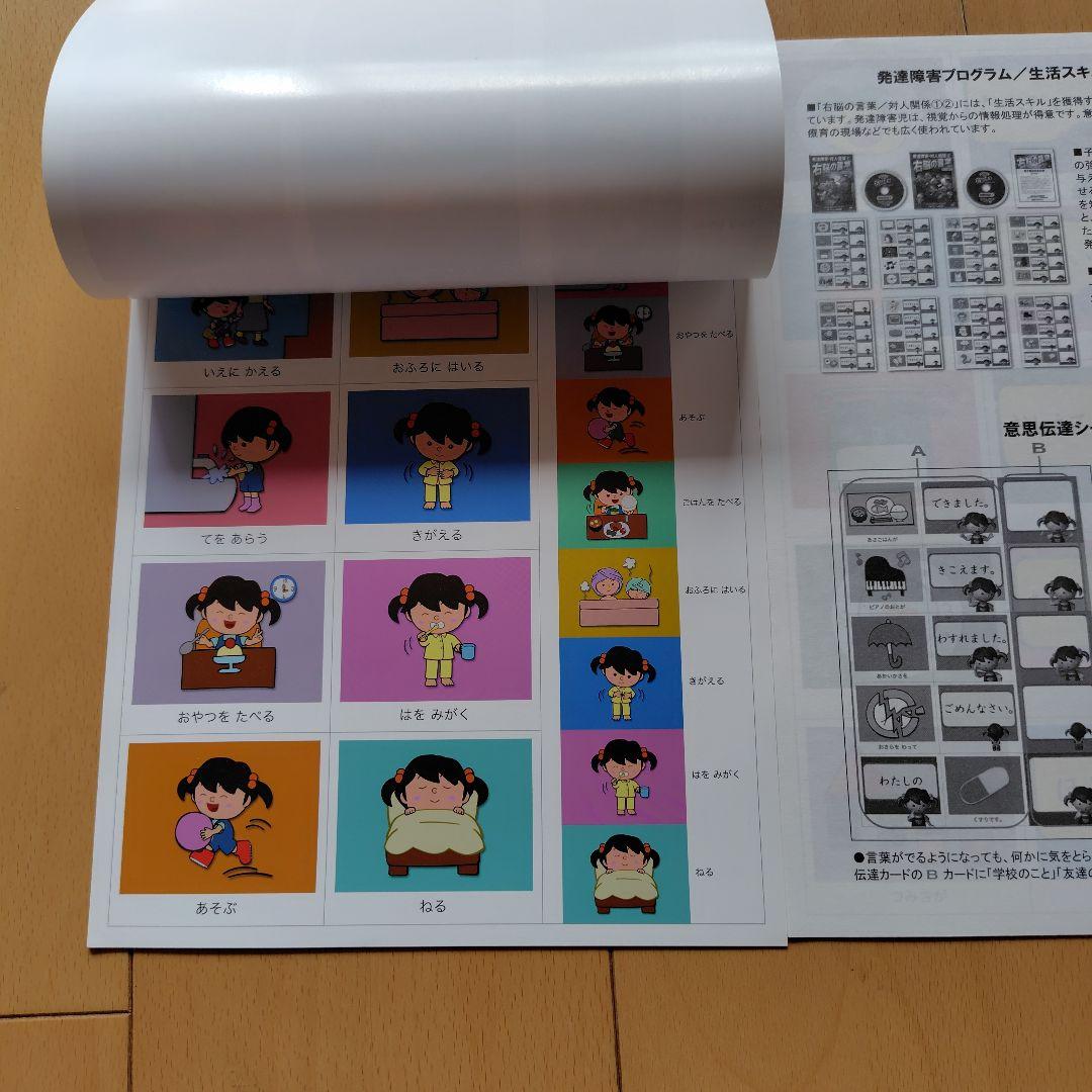 星みつる式　新　家庭療育　DVD スターシップ　発達トレーニング　右脳の言葉