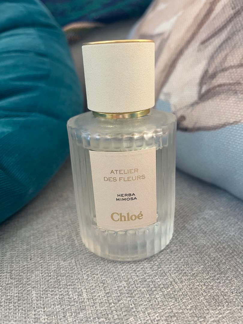 Chloé HERBA MIMOSA Atelier des Fleurs