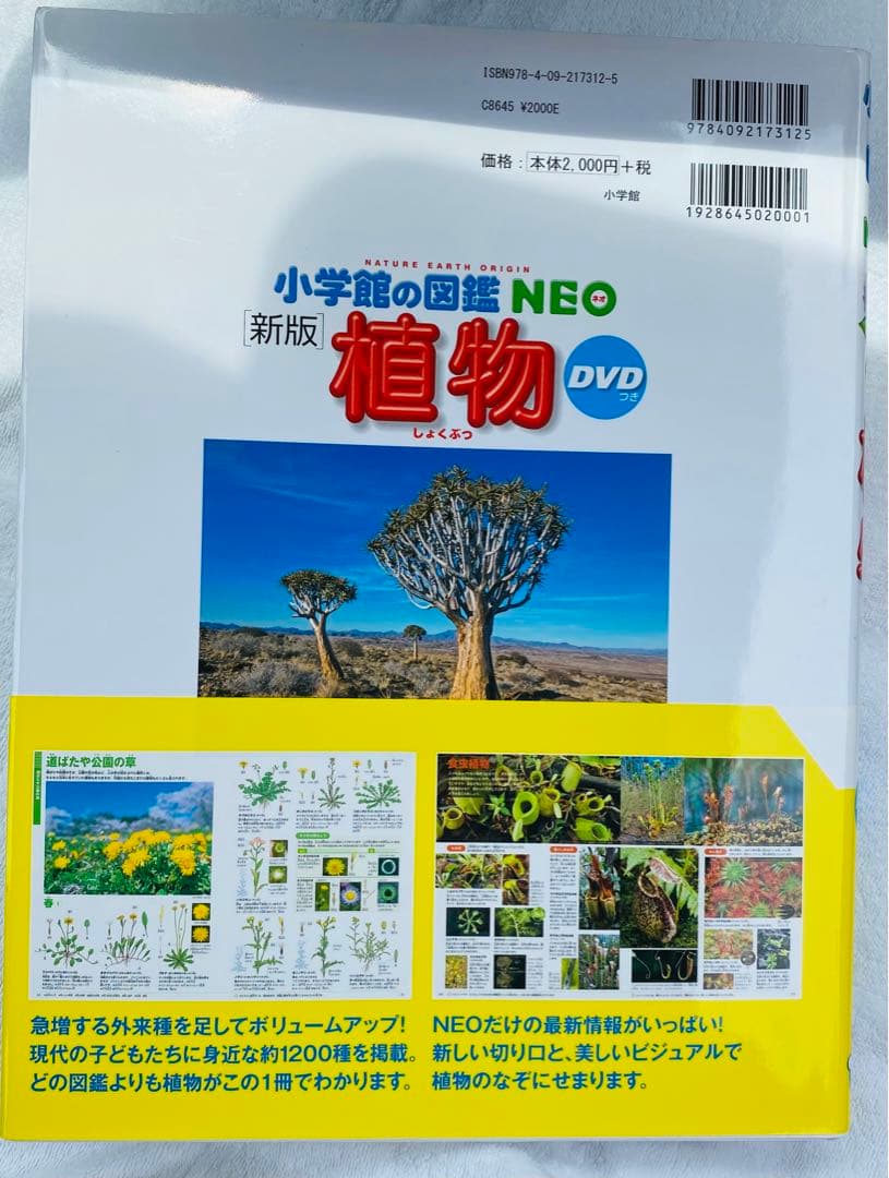 新版　小学館の図鑑NEO DVD付き 読み聞かせ366 10冊セット　ドラえもん