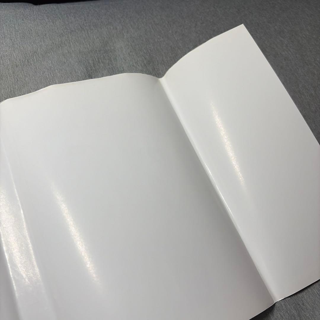 7日まで【14999円→10999円】少女椿　丸尾末広　絶版表紙