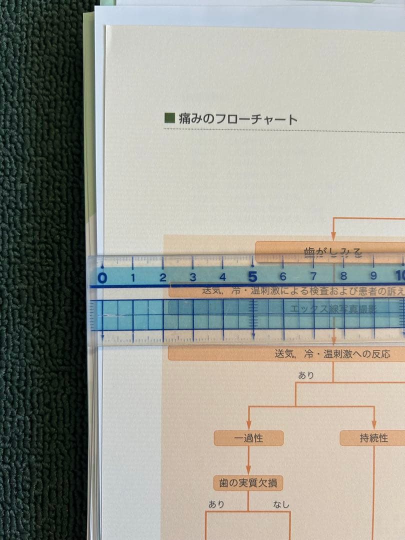 モモンガ　必修 歯科臨床研修実践ハンドブック 令和6年度 裁断済み