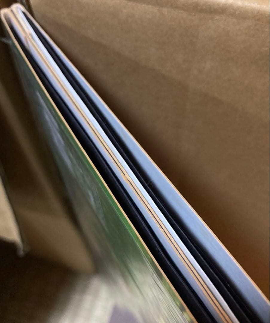 レア Buena Vista Social Club Carnegie Hall