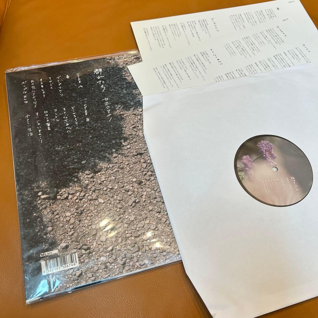 カネコアヤノ 名盤 群れたち LP 美品