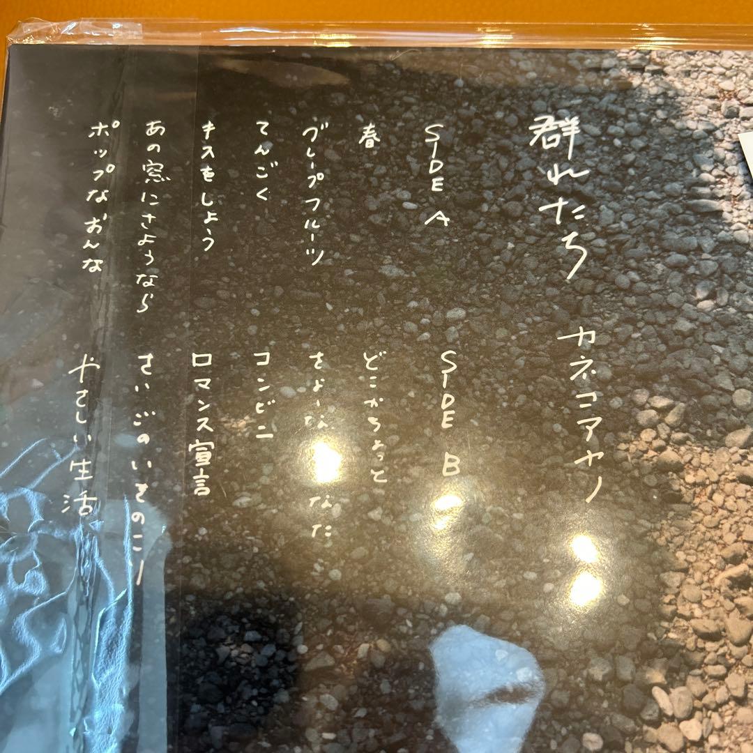 カネコアヤノ 名盤 群れたち LP 美品