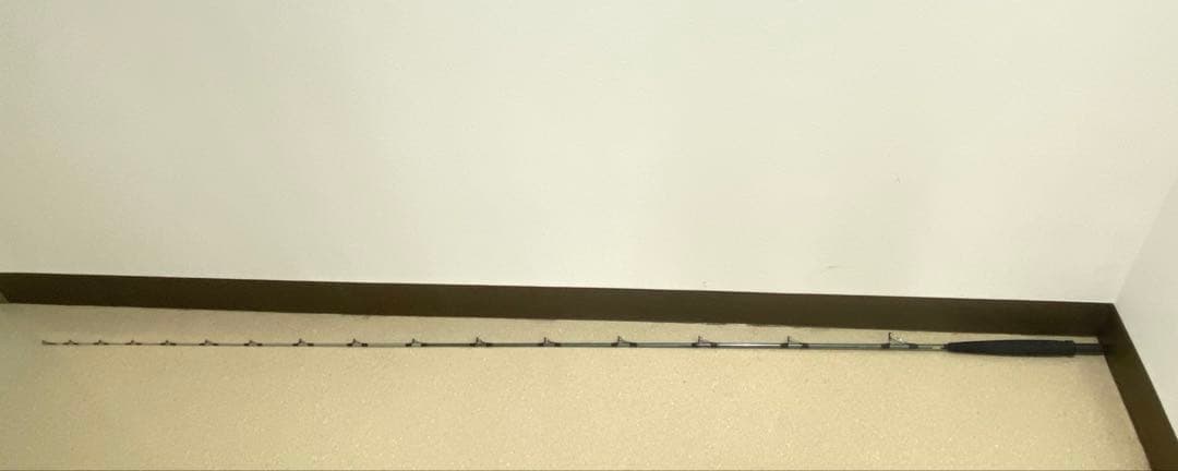 【直接お渡し限定】DAIWA ダイワ 釣竿 リーディングXゴウイン 265M