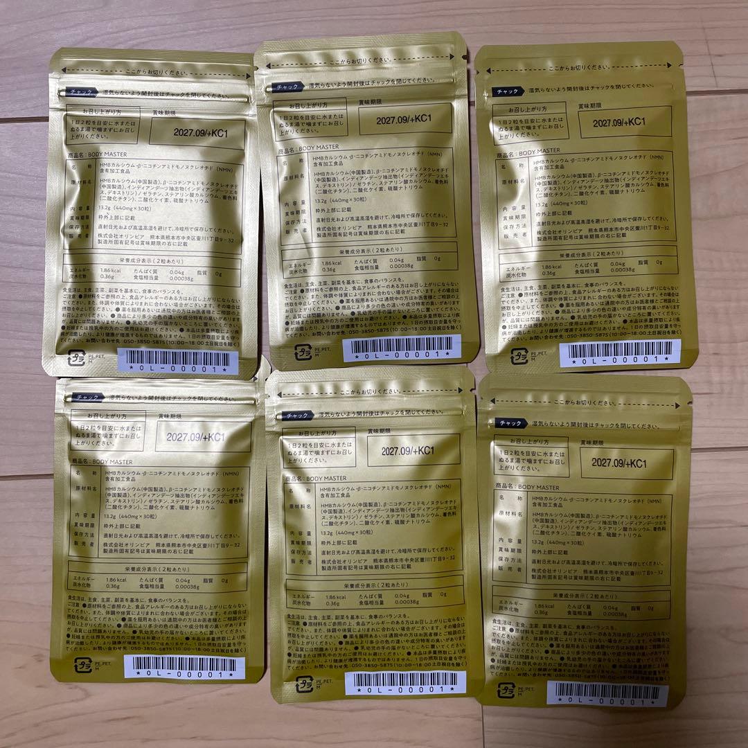HMB NMN BODY MASTER 6袋セット