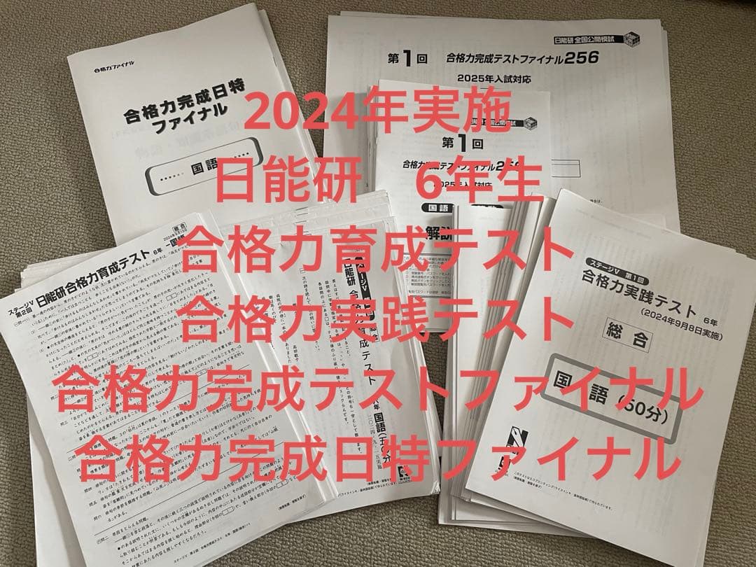 日能研　6年生 後期　合格力育成テスト　合格力実践テスト　合格力ファイナル256