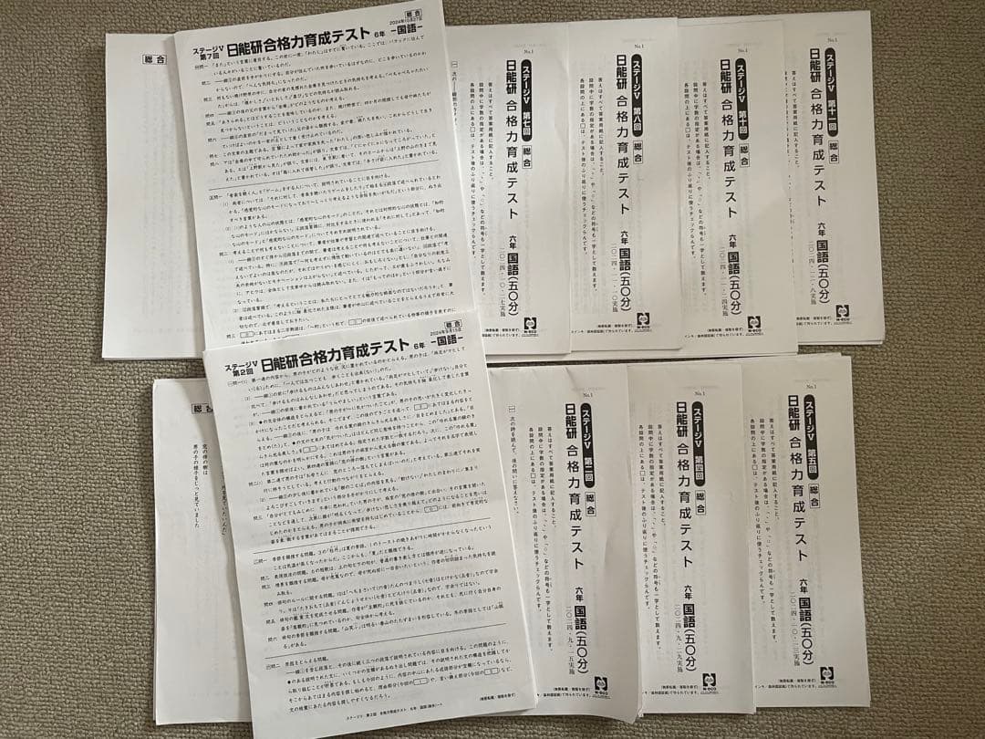 日能研　6年生 後期　合格力育成テスト　合格力実践テスト　合格力ファイナル256