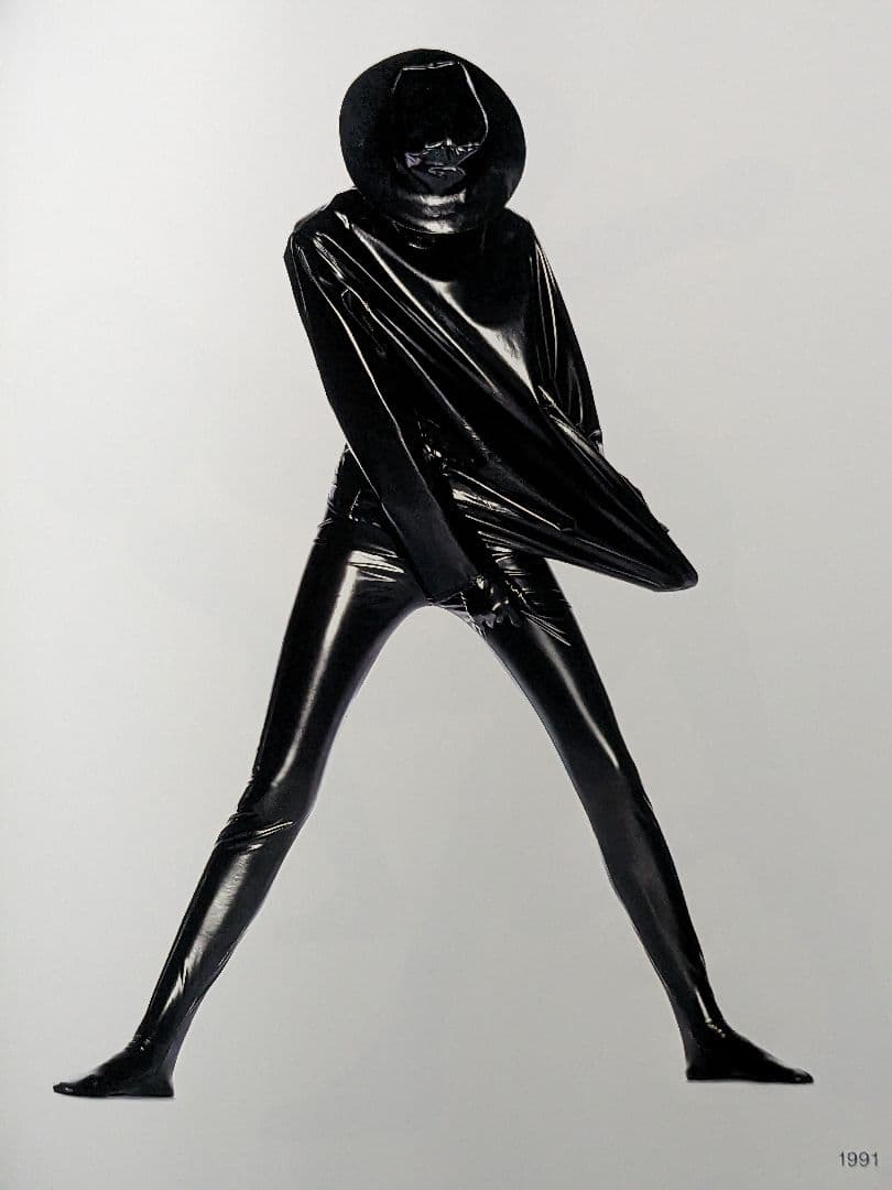 【洋書】Irving Penn regards the work of …