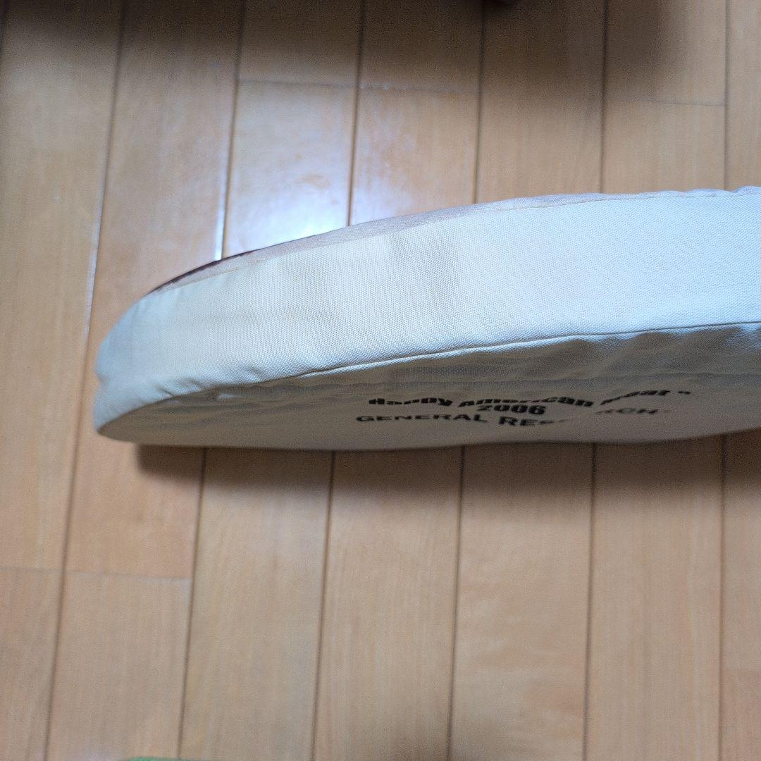 k*a様 GENERAL RESEARCH クッション Mountain Res