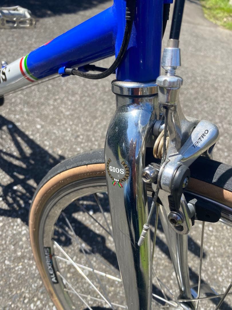 GIOS アンティーコ ANTICO サイズ51