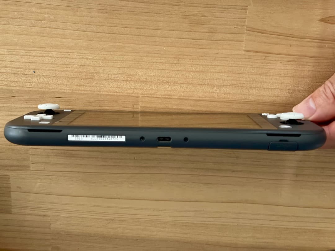 Nintendo Switch Lite グレー 本体 + ソフト1本おまけ