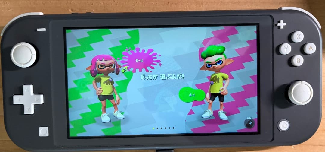 Nintendo Switch Lite グレー 本体 + ソフト1本おまけ