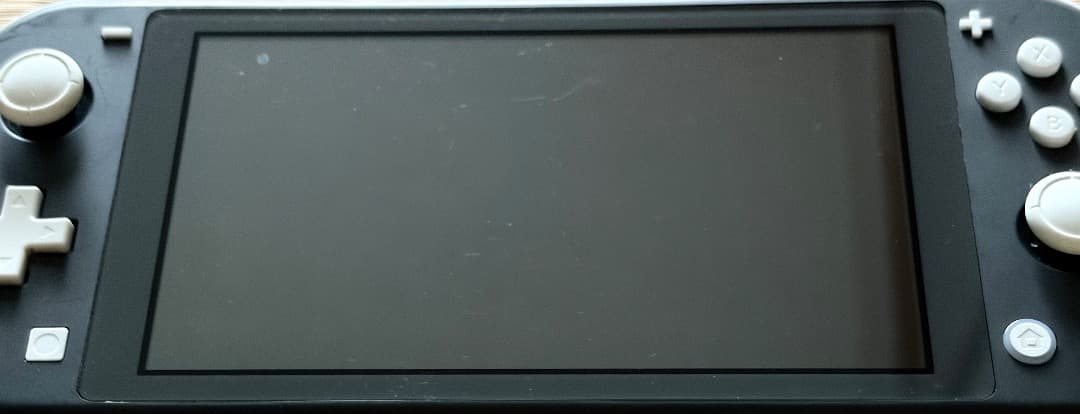 Nintendo Switch Lite グレー 本体 + ソフト1本おまけ