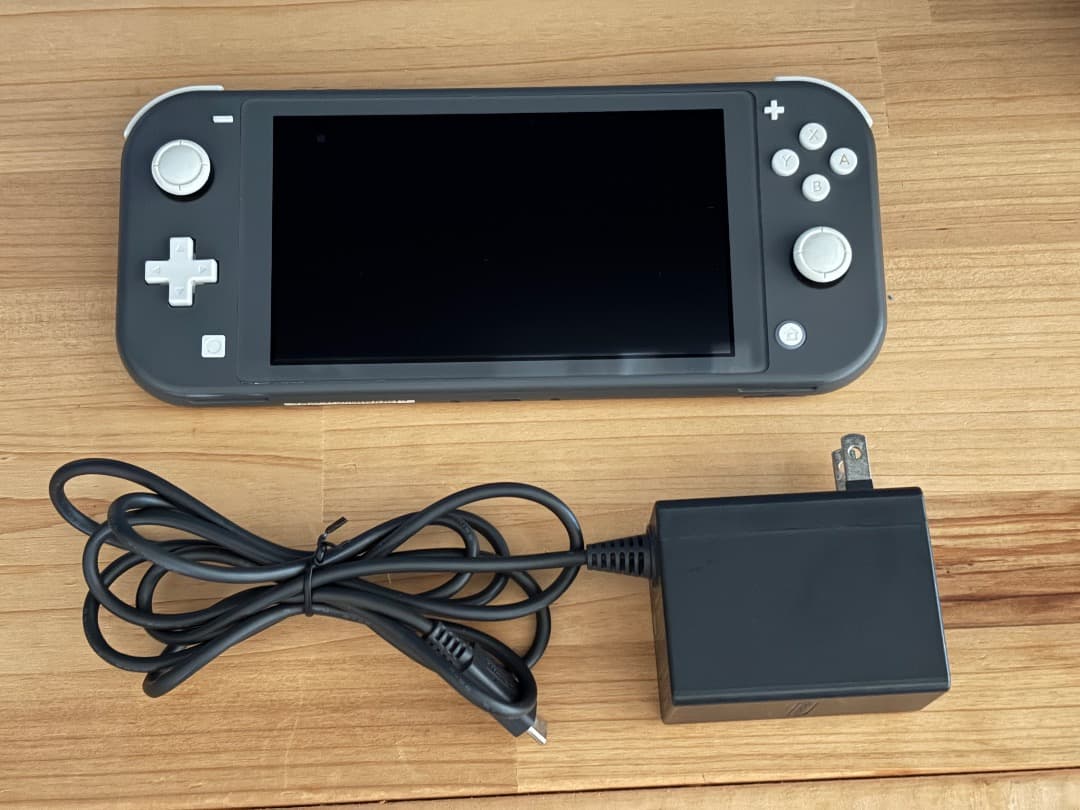 Nintendo Switch Lite グレー 本体 + ソフト1本おまけ