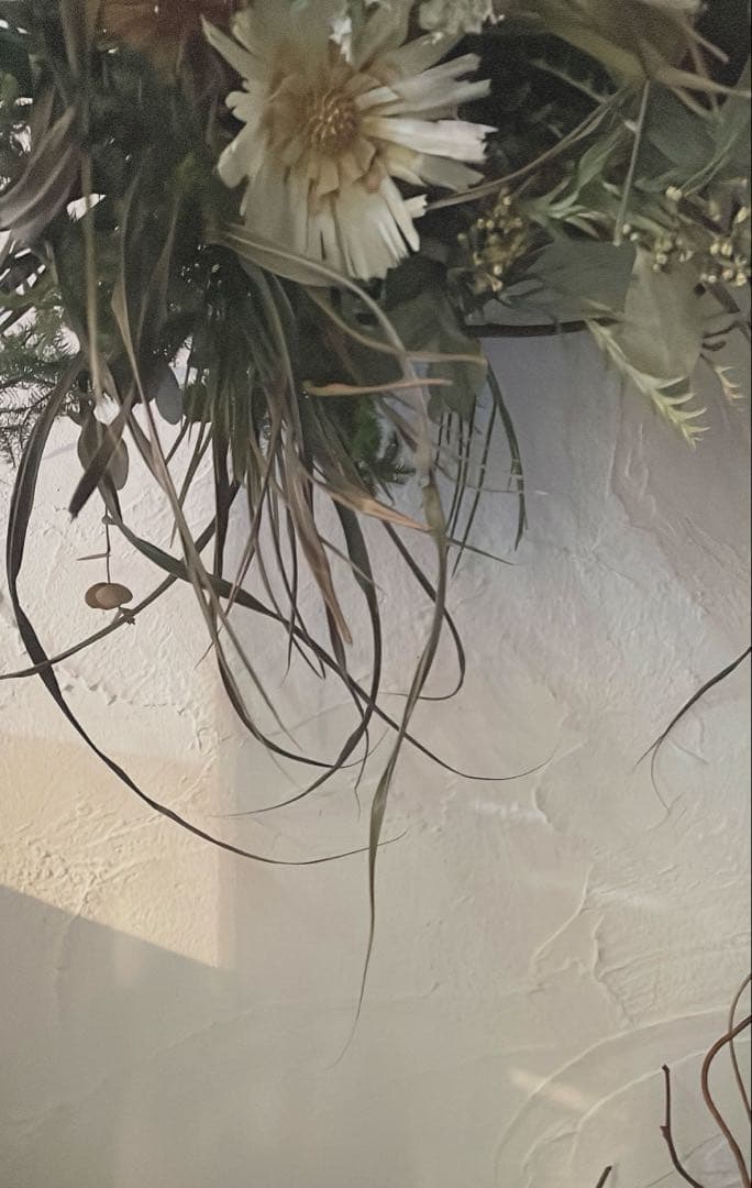 ロゼッタとグリーンの壁面アレンジ⚪︎ドライフラワー