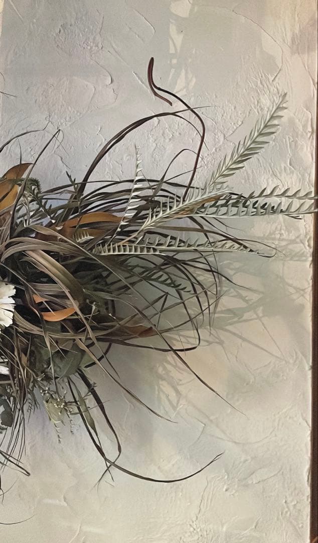 ロゼッタとグリーンの壁面アレンジ⚪︎ドライフラワー