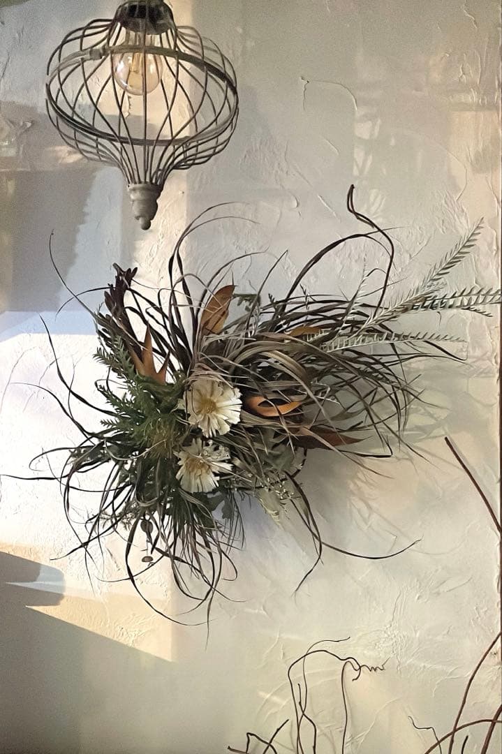 ロゼッタとグリーンの壁面アレンジ⚪︎ドライフラワー