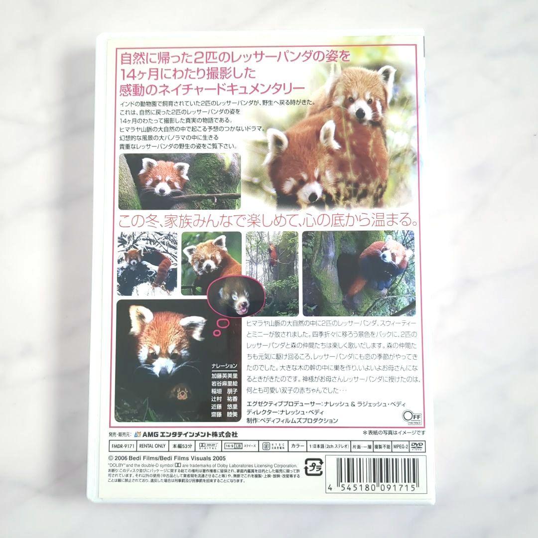 霧の中の天使 レッサーパンダ物語/DVD《レンタル落ち》希少