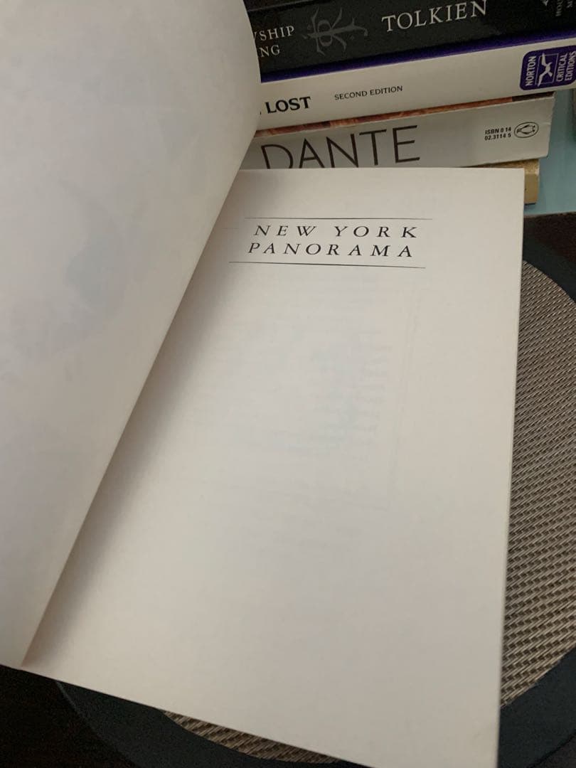 希少　New York Panorama by Alfred Kazin