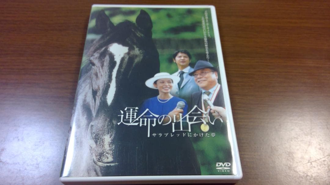 運命の出会い  　～サラブレッドにかけた夢～