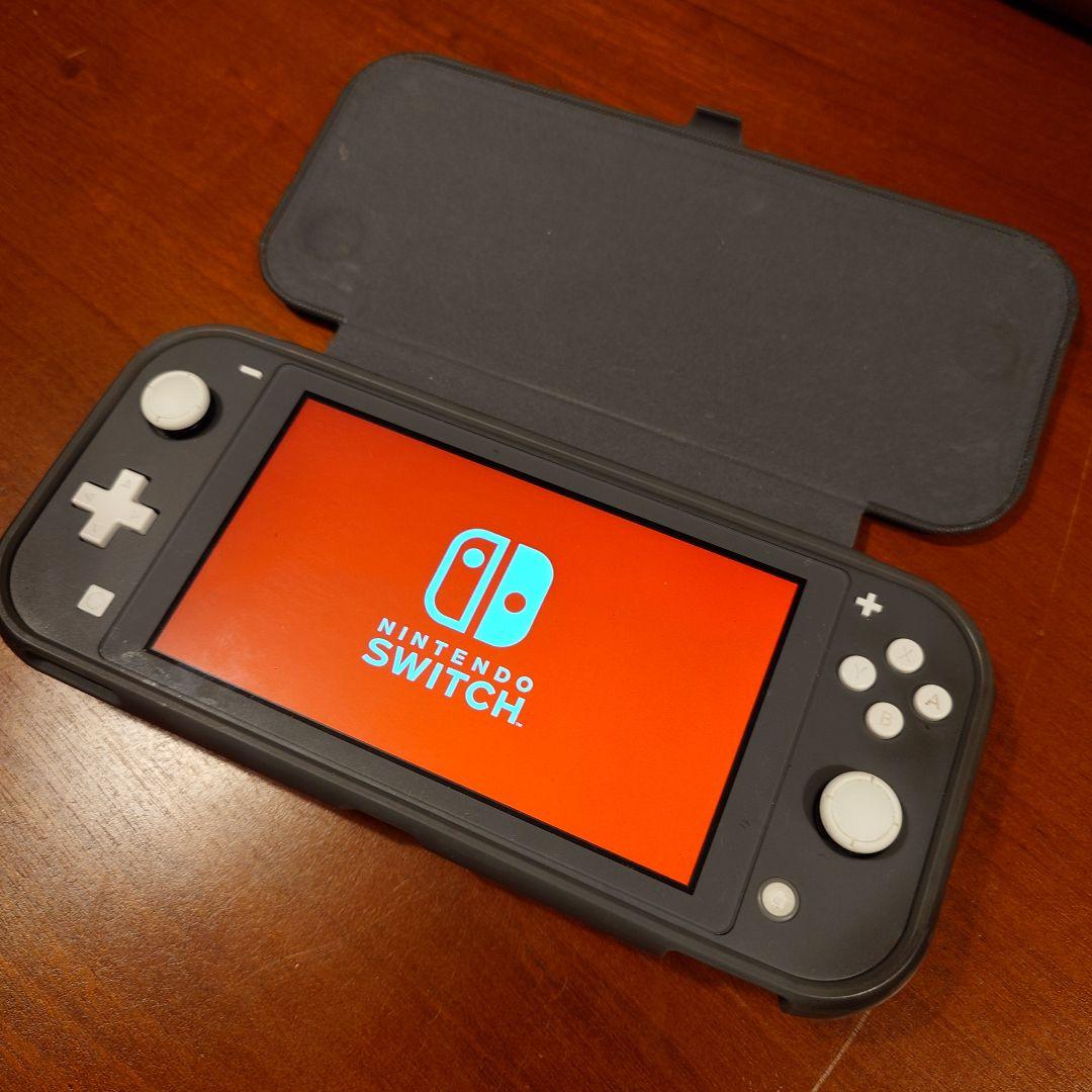 ふ*ぐ様 Nintendo Switch Lite グレー ケース付き