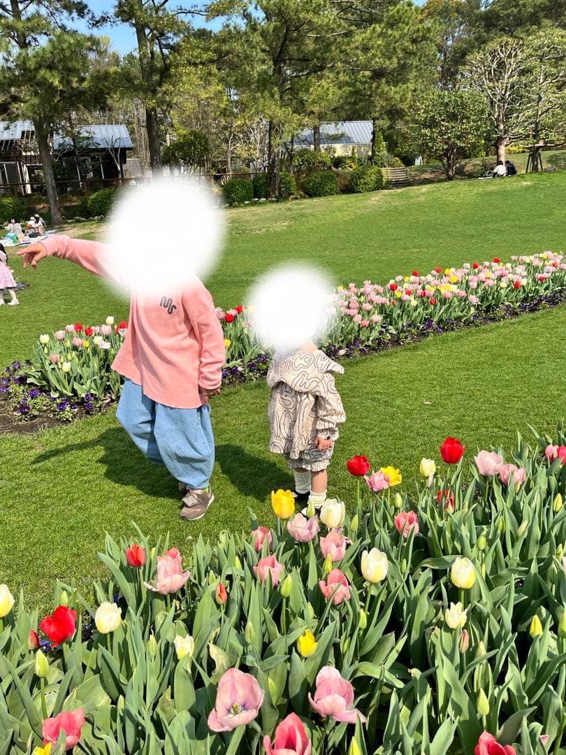 値下　frankygrow フランキーグロウ シャツM 100 110