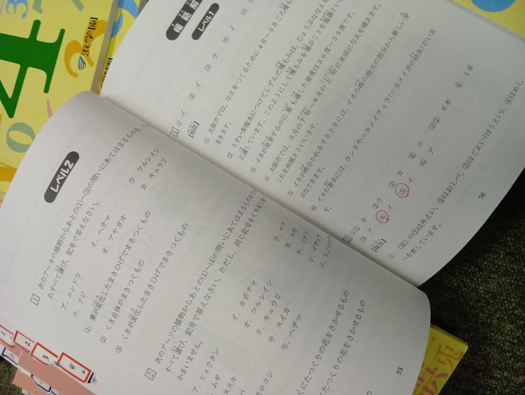 浜学園　小4　国語/算数/理科/計算/春夏冬テキスト　2023年使用版　 中古