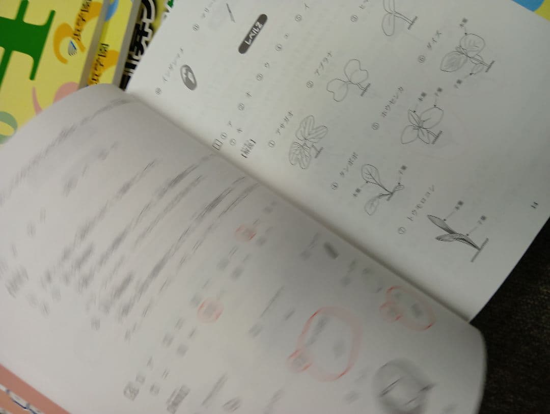 浜学園　小4　国語/算数/理科/計算/春夏冬テキスト　2023年使用版　 中古